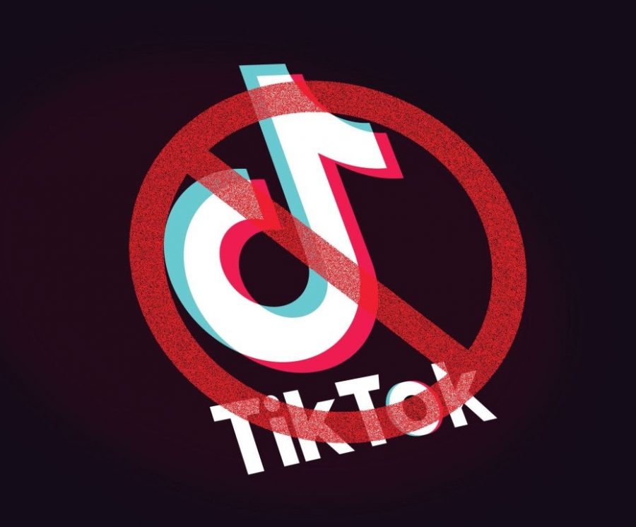 Goodbye TikTok